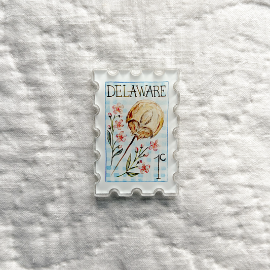 Delaware Magnet